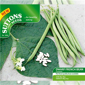 Bean (Dwarf French) Compass